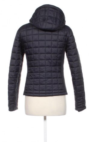 Dámska bunda  Superdry, Veľkosť S, Farba Modrá, Cena  54,95 €