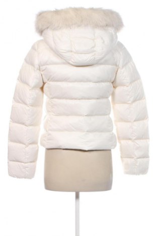 Dámska bunda  Tommy Hilfiger, Veľkosť S, Farba Béžová, Cena  259,95 €