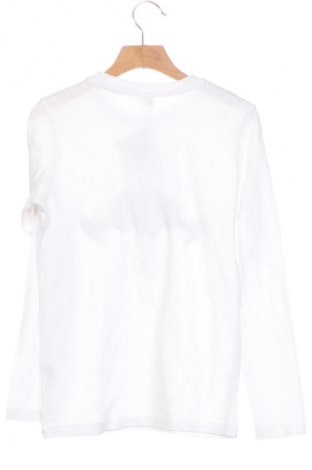 Kinder Shirt Batman, Größe 8-9y/ 134-140 cm, Farbe Mehrfarbig, Preis € 3,99