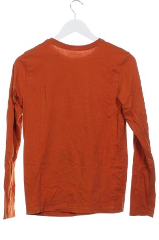 Kinder Shirt Dressmann, Größe 12-13y/ 158-164 cm, Farbe Orange, Preis 11,86 €