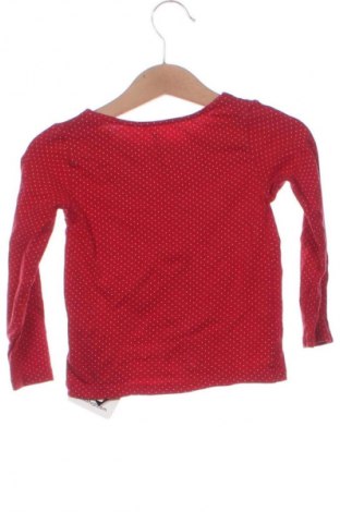 Dětská halenka  H&M, Velikost 18-24m/ 86-98 cm, Barva Vícebarevné, Cena  179,00 Kč