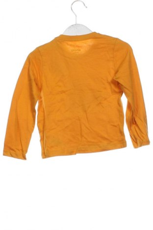 Gyerek blúz Sinsay, Méret 18-24m / 86-98 cm, Szín Sokszínű, Ár 2 379 Ft