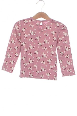Detská blúzka  Unbranded, Veľkosť 12-18m/ 80-86 cm, Farba Viacfarebná, Cena  2,95 €