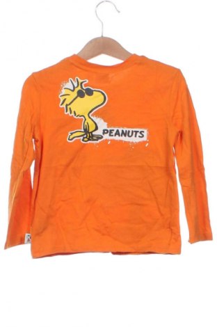 Kinder Shirt Unbranded, Größe 5-6y/ 116-122 cm, Farbe Orange, Preis € 7,99