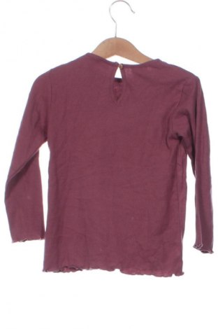 Παιδική μπλούζα Zara, Μέγεθος 2-3y/ 98-104 εκ., Χρώμα Βιολετί, Τιμή 8,99 €