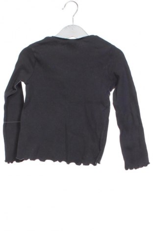 Παιδική μπλούζα Zara, Μέγεθος 3-4y/ 104-110 εκ., Χρώμα Γκρί, Τιμή 5,99 €
