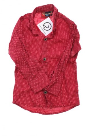 Παιδικό πουκάμισο Unbranded, Μέγεθος 2-3m/ 56-62 εκ., Χρώμα Πολύχρωμο, Τιμή 7,99 €