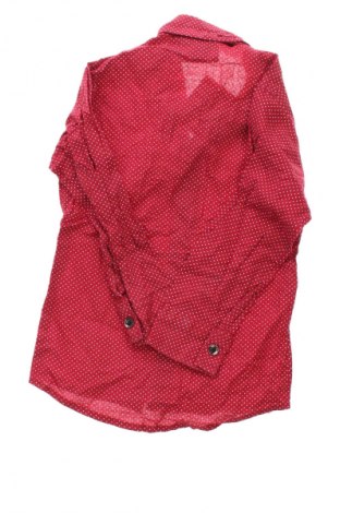 Παιδικό πουκάμισο Unbranded, Μέγεθος 2-3m/ 56-62 εκ., Χρώμα Πολύχρωμο, Τιμή 7,99 €