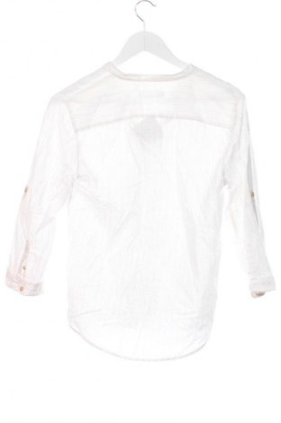 Dětská košile  Zara, Velikost 10-11y/ 146-152 cm, Barva Vícebarevné, Cena  178,00 Kč