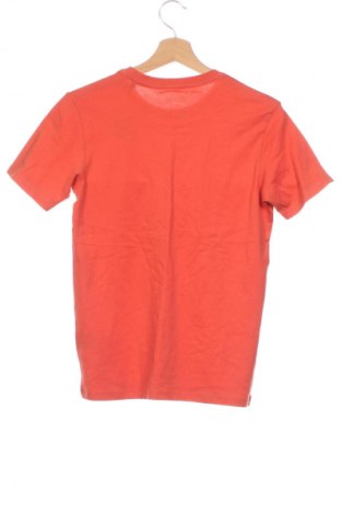 Kinder T-Shirt Identity, Größe 12-13y/ 158-164 cm, Farbe Orange, Preis € 2,99