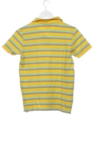 Παιδικό μπλουζάκι Lyle & Scott, Μέγεθος 14-15y/ 168-170 εκ., Χρώμα Πολύχρωμο, Τιμή 19,08 €