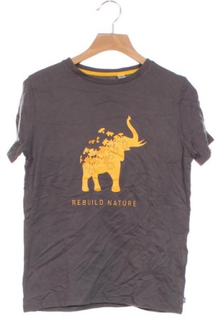 Kinder T-Shirt Okaidi, Größe 8-9y/ 134-140 cm, Farbe Mehrfarbig, Preis € 6,99