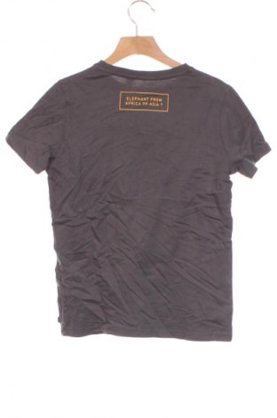 Kinder T-Shirt Okaidi, Größe 8-9y/ 134-140 cm, Farbe Mehrfarbig, Preis € 6,99