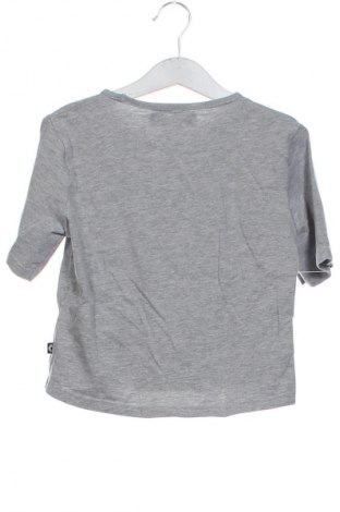 Παιδικό μπλουζάκι Unbranded, Μέγεθος 13-14y/ 164-168 εκ., Χρώμα Γκρί, Τιμή 6,00 €