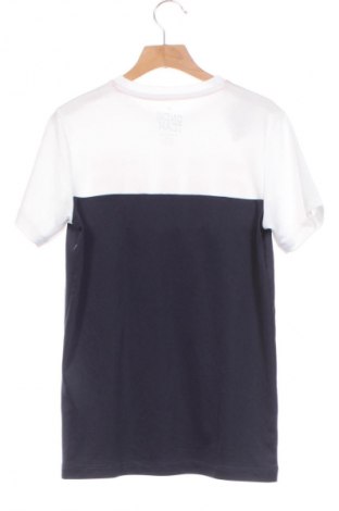Kinder T-Shirt WE, Größe 10-11y/ 146-152 cm, Farbe Mehrfarbig, Preis € 2,99