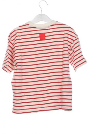 Παιδικό μπλουζάκι Zara, Μέγεθος 6-7y/ 122-128 εκ., Χρώμα Πολύχρωμο, Τιμή 6,14 €
