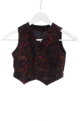 Vestă pentru copii Unbranded, Mărime 3-4y/ 104-110 cm, Culoare Multicolor, Preț 37,99 Lei
