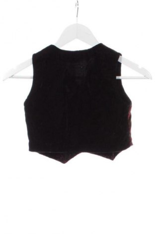 Vestă pentru copii Unbranded, Mărime 3-4y/ 104-110 cm, Culoare Multicolor, Preț 37,99 Lei