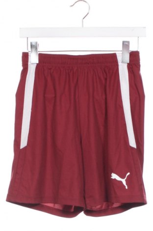 Dětské krátké kalhoty  PUMA, Velikost 15-18y/ 170-176 cm, Barva Červená, Cena  439,00 Kč