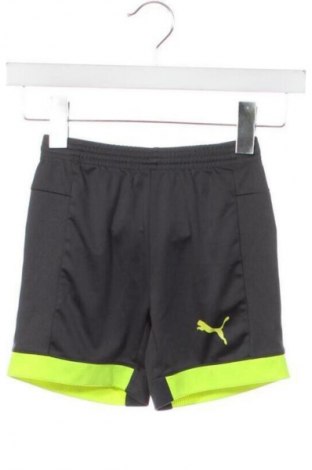 Pantaloni scurți pentru copii PUMA, Mărime 4-5y/ 110-116 cm, Culoare Gri, Preț 89,99 Lei