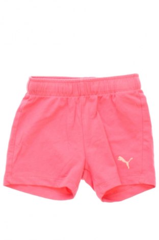 Gyerek rövidnadrág PUMA, Méret 12-18m / 80-86 cm, Szín Rózsaszín, Ár 5 396 Ft
