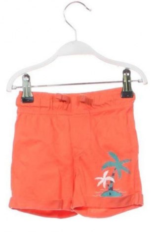 Dziecięce szorty Unbranded, Rozmiar 12-18m/ 80-86 cm, Kolor Kolorowy, Cena 61,15 zł
