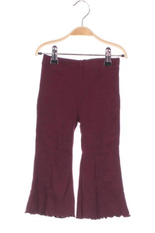 Kinderhose Next, Größe 12-18m/ 80-86 cm, Farbe Lila, Preis € 15,99