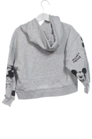 Gyerek sweatshirt Zara, Méret 4-5y / 110-116 cm, Szín Szürke, Ár 1 979 Ft