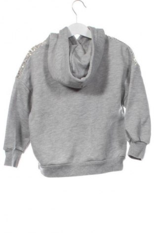Gyerek sweatshirt Zara, Méret 4-5y / 110-116 cm, Szín Szürke, Ár 1 979 Ft