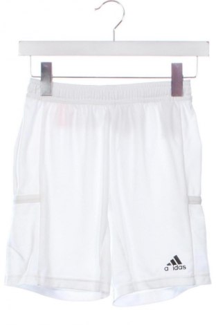 Dětské tepláky Adidas, Velikost 10-11y/ 146-152 cm, Barva Bílá, Cena  430,00 Kč