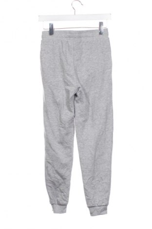 Kinder Sporthose Harry Potter, Größe 10-11y/ 146-152 cm, Farbe Grau, Preis € 18,99