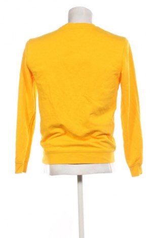 Herren Shirt Champion, Größe S, Farbe Gelb, Preis € 18,99
