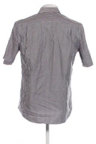 Herrenhemd Daniel Hechter, Größe M, Farbe Mehrfarbig, Preis 31,99 €