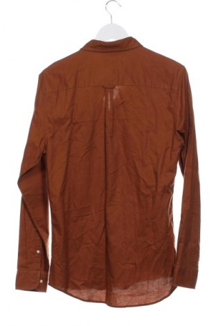Herrenhemd F&F, Größe S, Farbe Braun, Preis € 9,99
