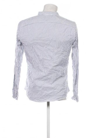Herrenhemd Hollister, Größe S, Farbe Mehrfarbig, Preis € 23,99