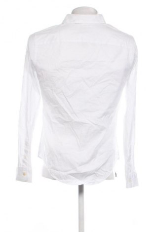 Herrenhemd Zara, Größe M, Farbe Weiß, Preis 23,99 €