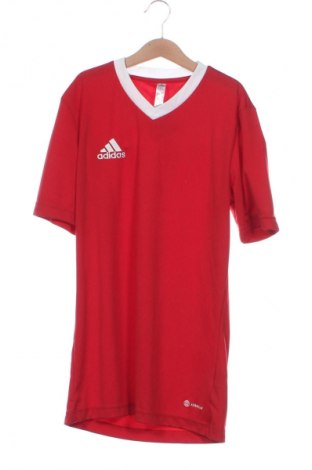 Herren T-Shirt Adidas, Größe XS, Farbe Rot, Preis 18,99 €