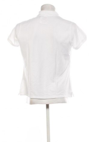 Ανδρικό t-shirt Fruit Of The Loom, Μέγεθος XXL, Χρώμα Λευκό, Τιμή 9,72 €