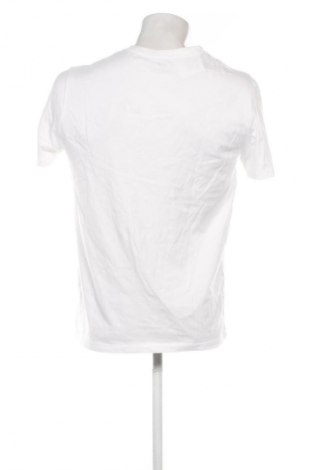 Herren T-Shirt Gap, Größe M, Farbe Ecru, Preis € 12,99