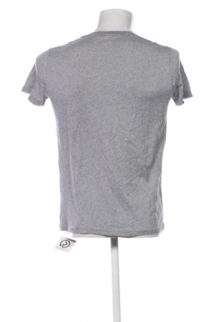 Herren T-Shirt Hollister, Größe S, Farbe Grau, Preis € 4,99