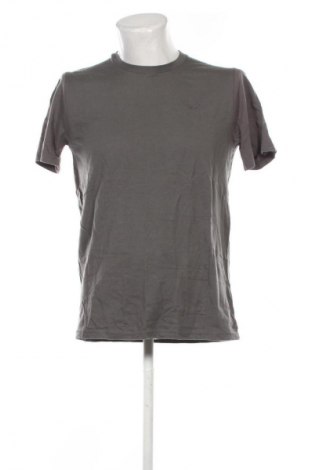 Herren T-Shirt Hollister, Größe M, Farbe Grau, Preis 10,99 €