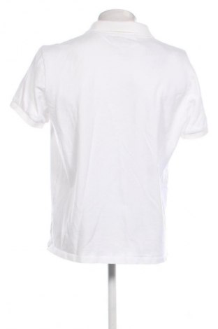 Herren T-Shirt Jacob Cohen, Größe 3XL, Farbe Weiß, Preis € 88,99