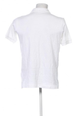 Herren T-Shirt Kappa, Größe M, Farbe Weiß, Preis 31,99 €