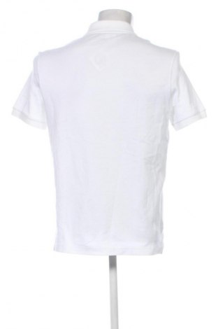 Herren T-Shirt Lacoste, Größe L, Farbe Weiß, Preis € 86,99