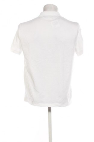 Herren T-Shirt Lacoste, Größe M, Farbe Weiß, Preis 85,99 €