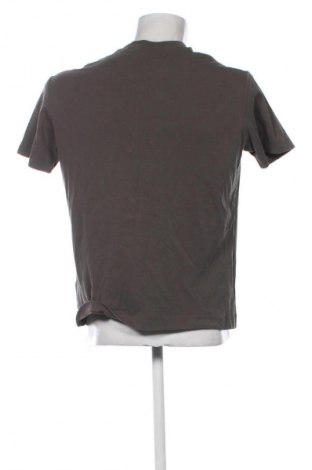 Herren T-Shirt Massimo Dutti, Größe S, Farbe Grün, Preis 13,80 €