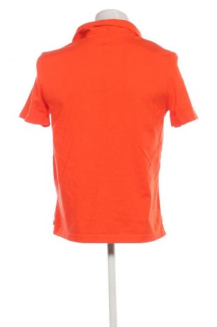 Herren T-Shirt Nautica, Größe M, Farbe Orange, Preis 24,49 €