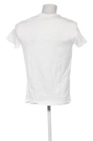 Herren T-Shirt Terranova, Größe M, Farbe Mehrfarbig, Preis € 13,99
