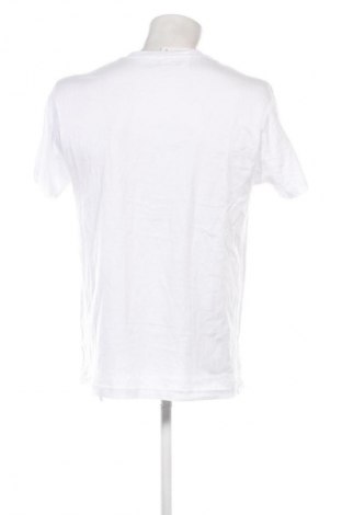 Herren T-Shirt Tom Tailor, Größe M, Farbe Weiß, Preis 23,99 €