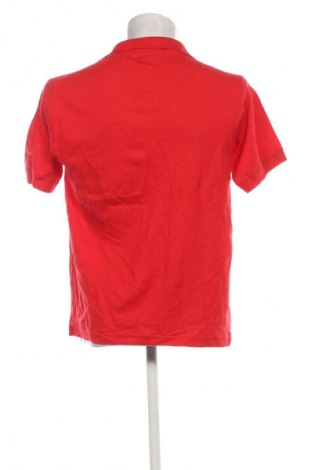 Herren T-Shirt In Extenso, Größe XL, Farbe Rot, Preis 13,99 €